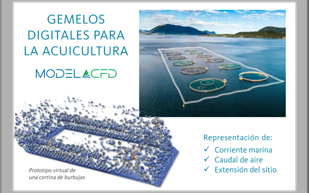 ModelaCFD: Gemelos digitales para la acuicultura